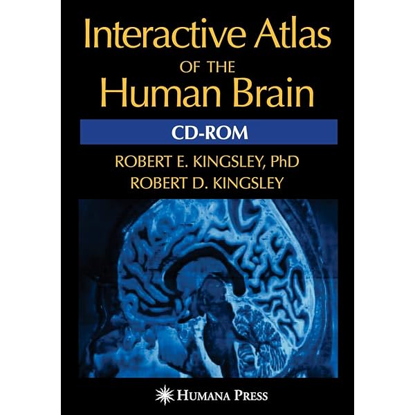 Atlas of Human Brain Connections: 9780198729372: Medicine & Health